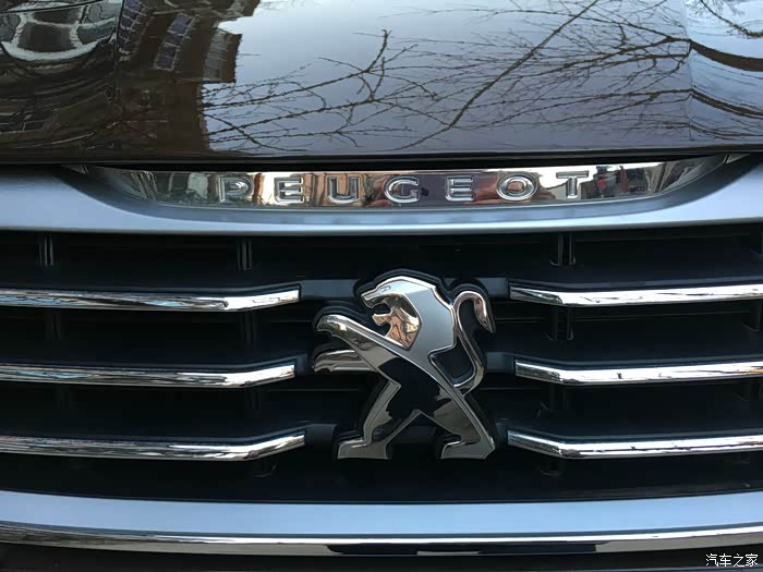 【图】小狮子来给大家拜年了,一代棕狮"提车记"_标致408论坛_汽车之家