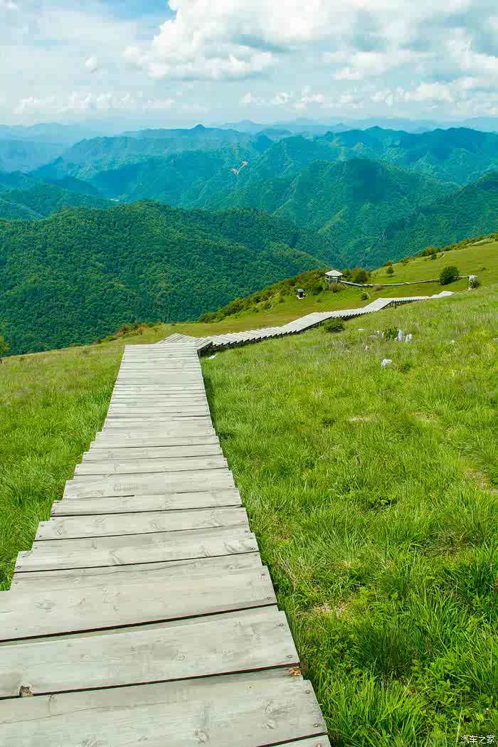 端午出游留坝紫柏山高山草甸