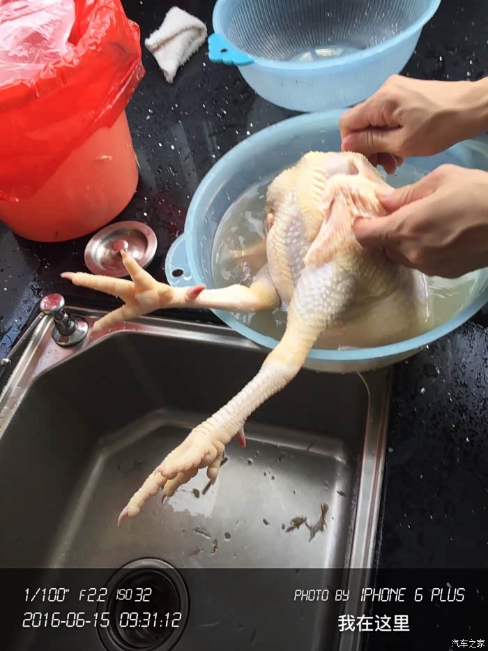 把大公鸡杀了脱毛脱光光了