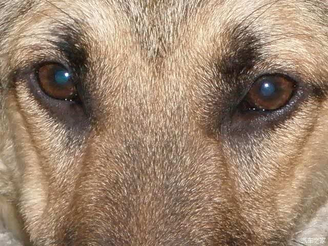 水军一双眼睛正盯着你