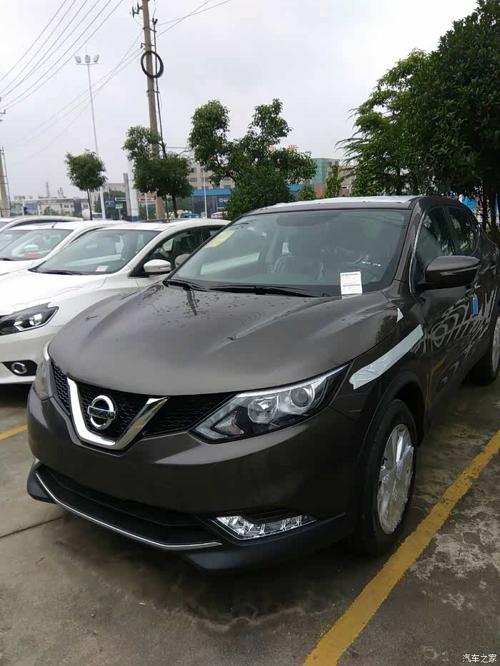 逍客,琥珀金的多多上图欣赏下