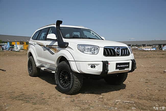 分享一些萨瓦纳美图只看图不说话