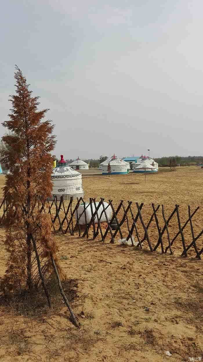 金秋十月,大荔沙苑游玩,续缘!车友们从四面八方共同赶到