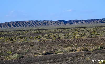 地表上面植被开始多起来了