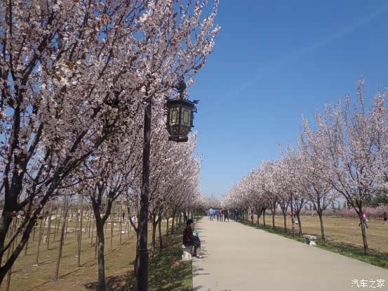 自驾游春天让我们相约秦灞庄园