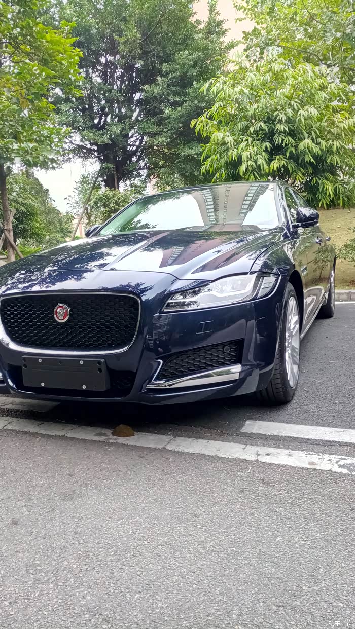 今天提了蓝豹留纪念