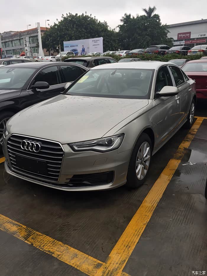 谁有白金色的车发个照片我看看