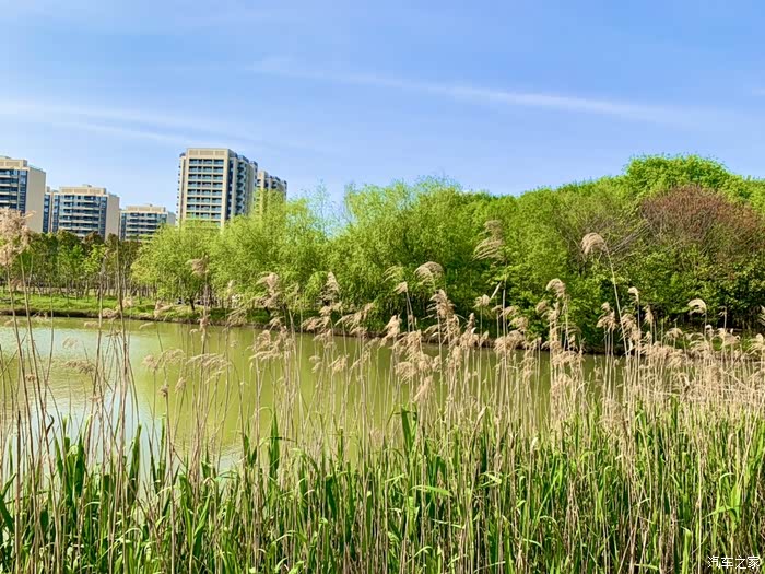 朝暮牧场是躲在上海嘉定北郊区的一处世外桃源