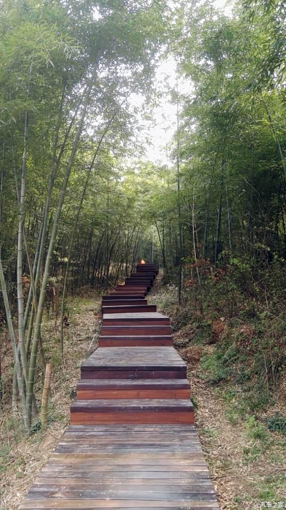 傅家边梅花山一日游