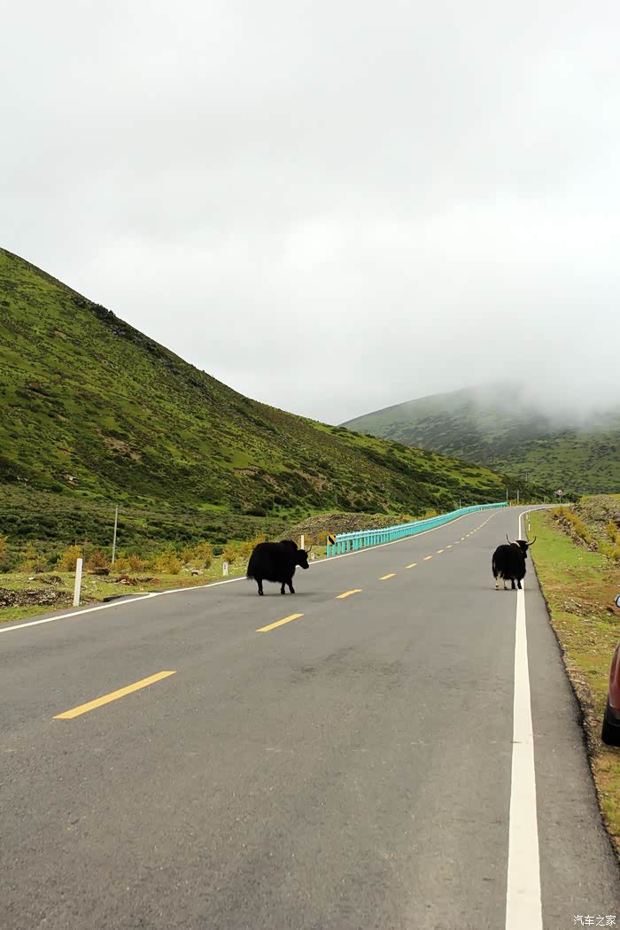 在路上遇见最真实的自己2017年8月行走川西印记