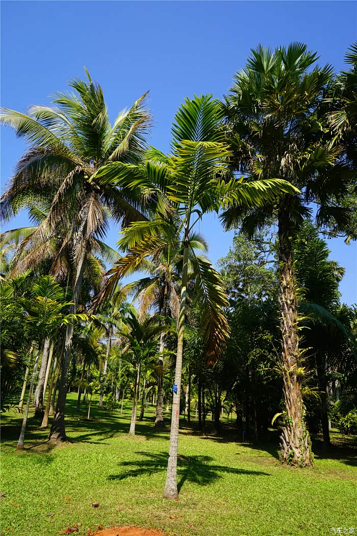 【图】旅行的意义--12天上海至云南自驾游_驭胜s350论坛_汽车之家论坛