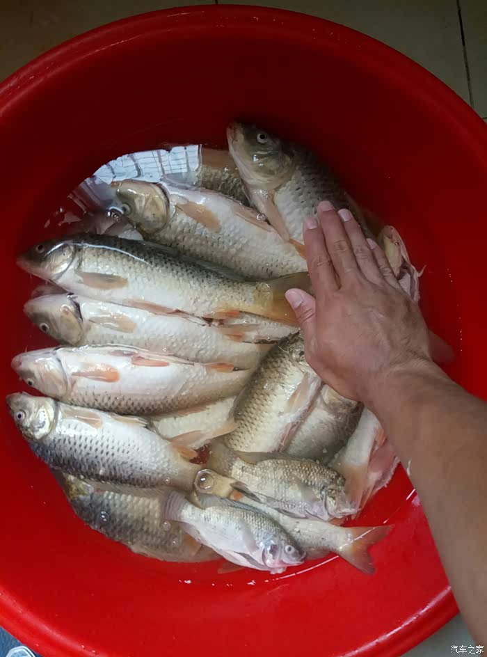 【图】六一广州南沙十九涌野钓_钓鱼论坛_汽车之家论坛