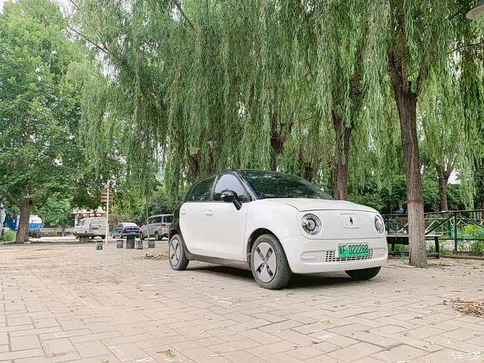 周末开欧拉黑猫带家人一起去白洋淀赏荷