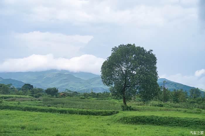 朝圣之路莫角山宫殿遗址