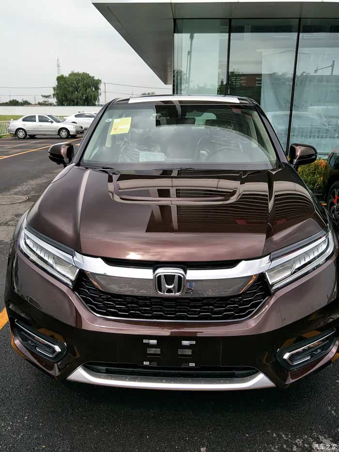 冠道琥珀金好看吗?