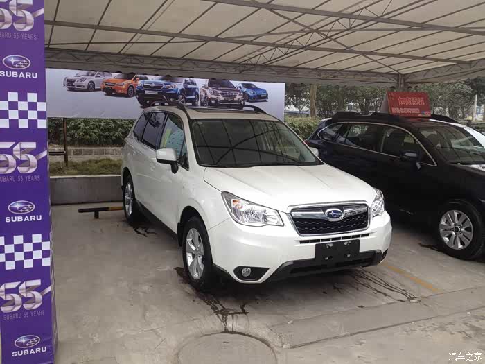 白色手动森林人.