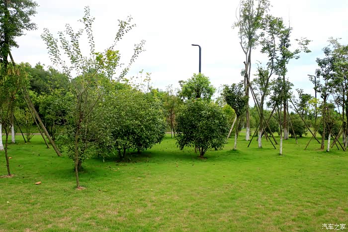 美女携手小三子小悦悦入镜