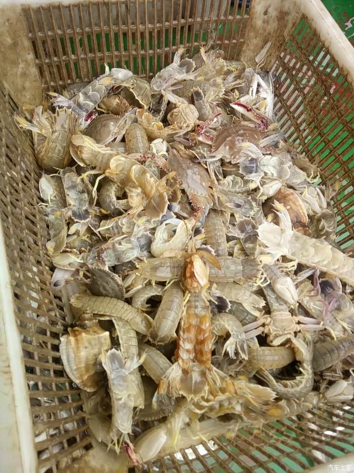 携妻与我大侠七披星戴月去黄骅出海吃海鲜