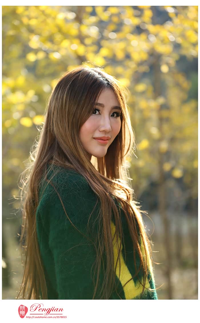 朋见行摄之随州千年银杏美女与古树倾情演绎