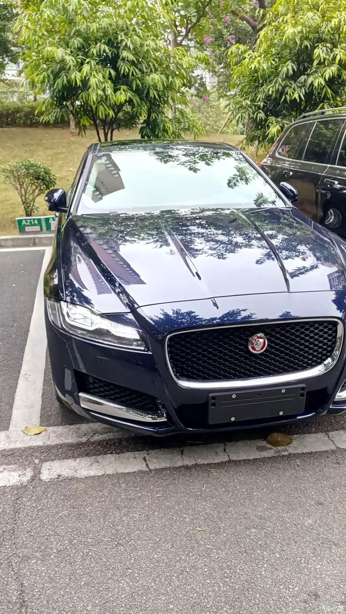 今天提了蓝豹留纪念