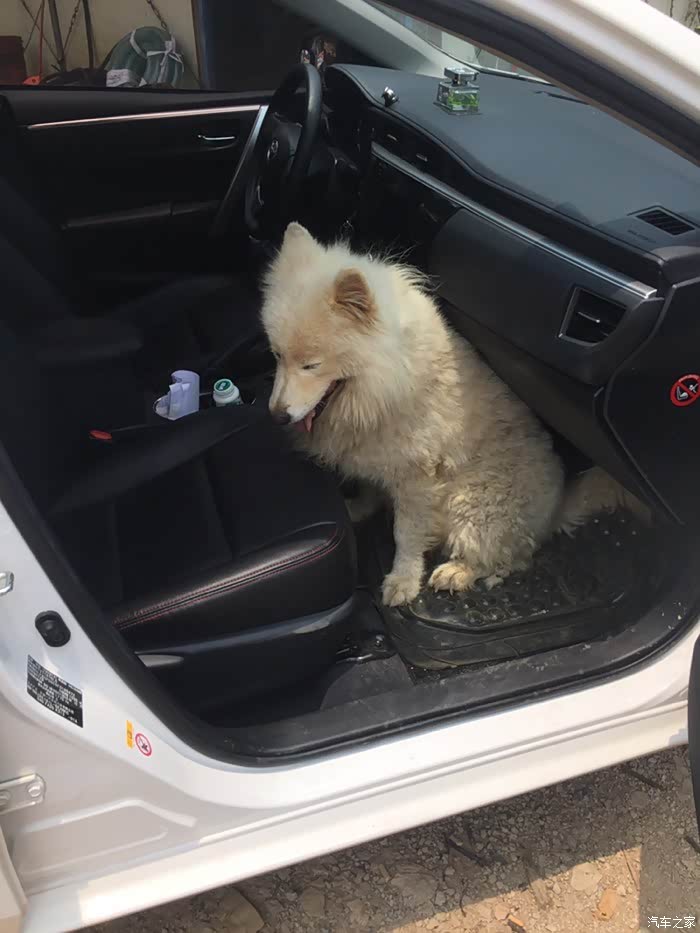 卡罗拉降车身加装短簧