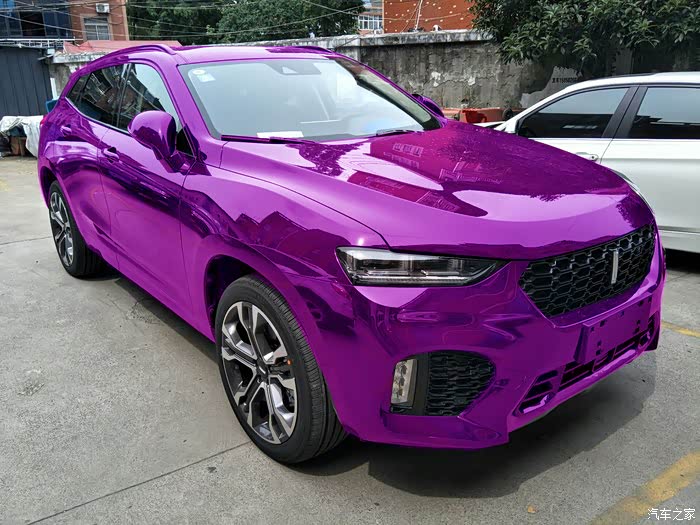 给你们看看紫色.