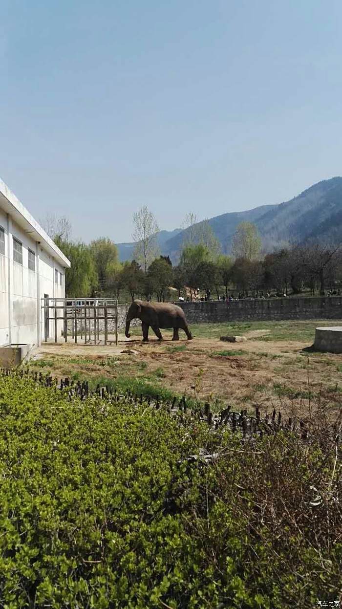 【陝西cs35車友會】記西安秦嶺野生動物園