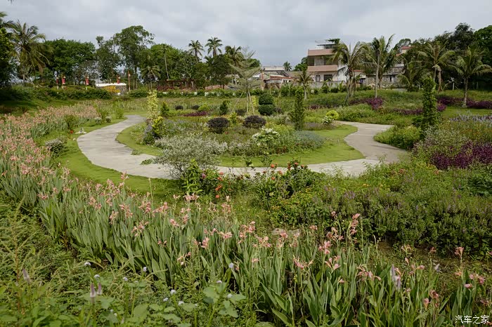 与女儿一起看定安香草田园