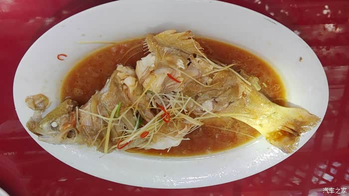 【汽车之家车友聚会】偶遇欧尚a800