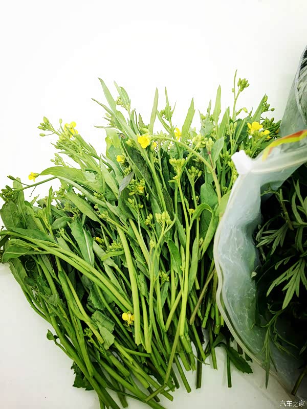 油菜花杆,吃起来有点苦