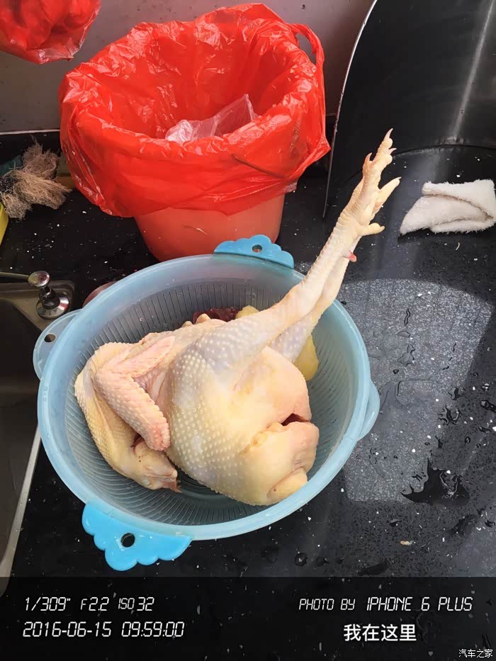 【图】今天中午杀大公鸡做午饭给儿女吃_广东论坛_汽车之家论坛