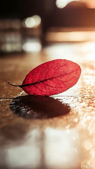 唉,我来儿童医院挂号了