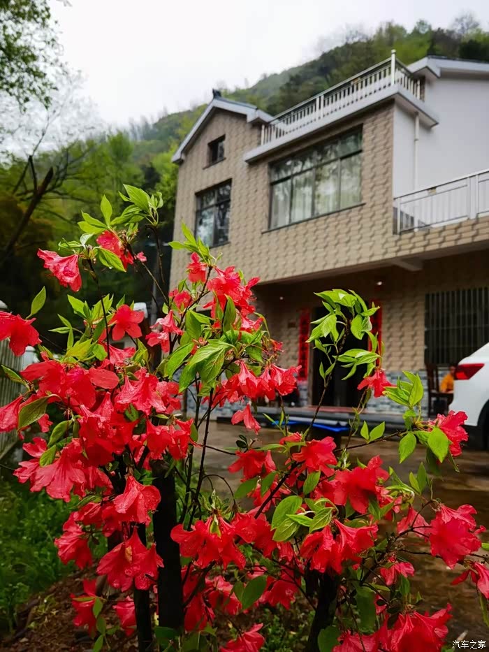 门口的鲜花,更美! 休息啦～感受大自然的气息