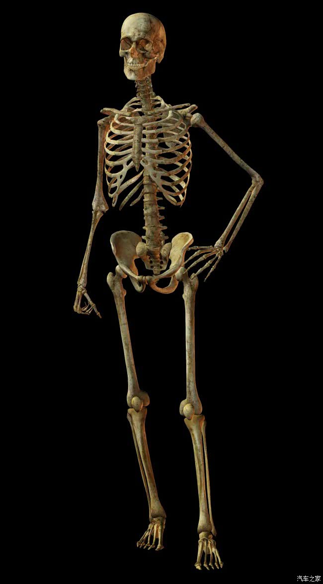 各位男车主的最爱有福利大长腿