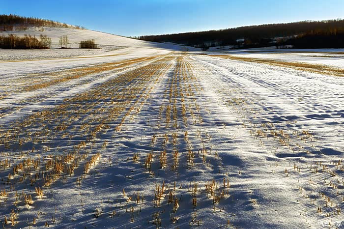 穿过草原向纵深处行进,眼前呈现大片的农田.