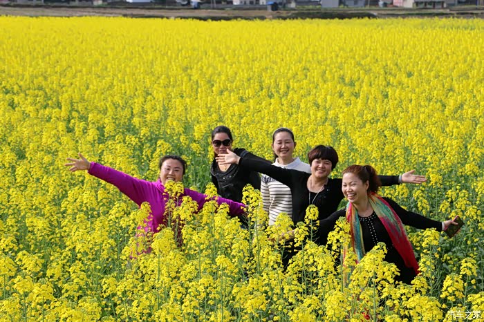 小五随我春天游