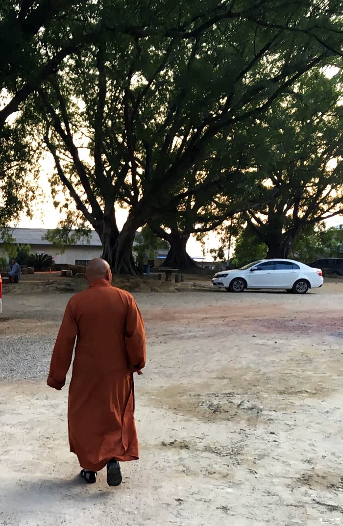 游走其中,经常能看到身穿僧袍的僧人穿梭佛塔之间!