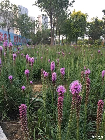 大连一车二人自驾稻城亚丁川西小环线…完