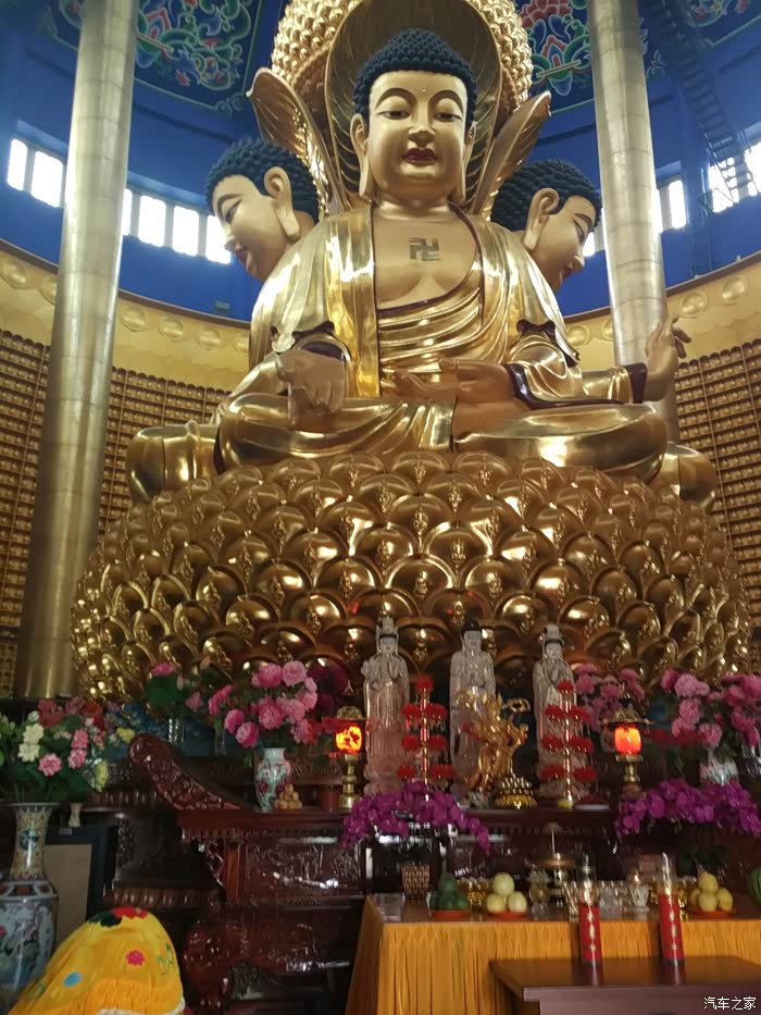 忙里偷闲拜大佛金山寺一日游