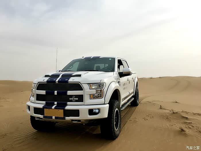 谢尔比f150不为人知的猛兽