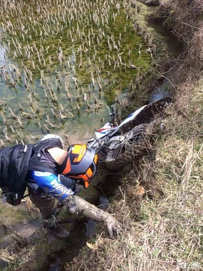 给你们欣赏沟王掉沟里无码清彩照幸亏跑快然田主来可能会跟我拼命这