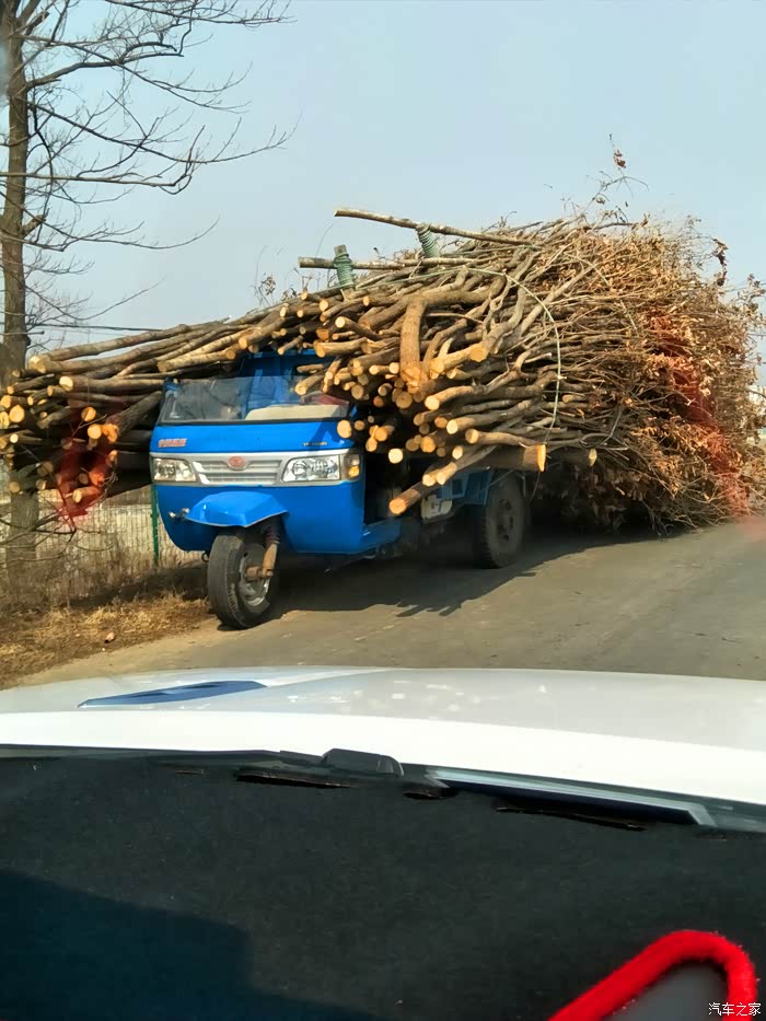 随处可见拉柴车