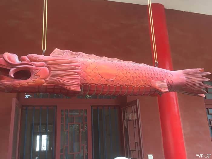 龙头鱼身,知道是何方神圣,难道是传说中的金龙鱼?