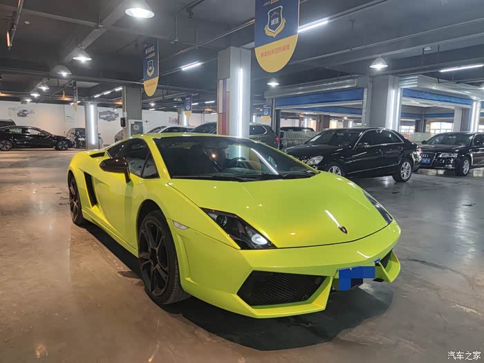 很高兴在武汉见到一代小牛盖拉多gallardo