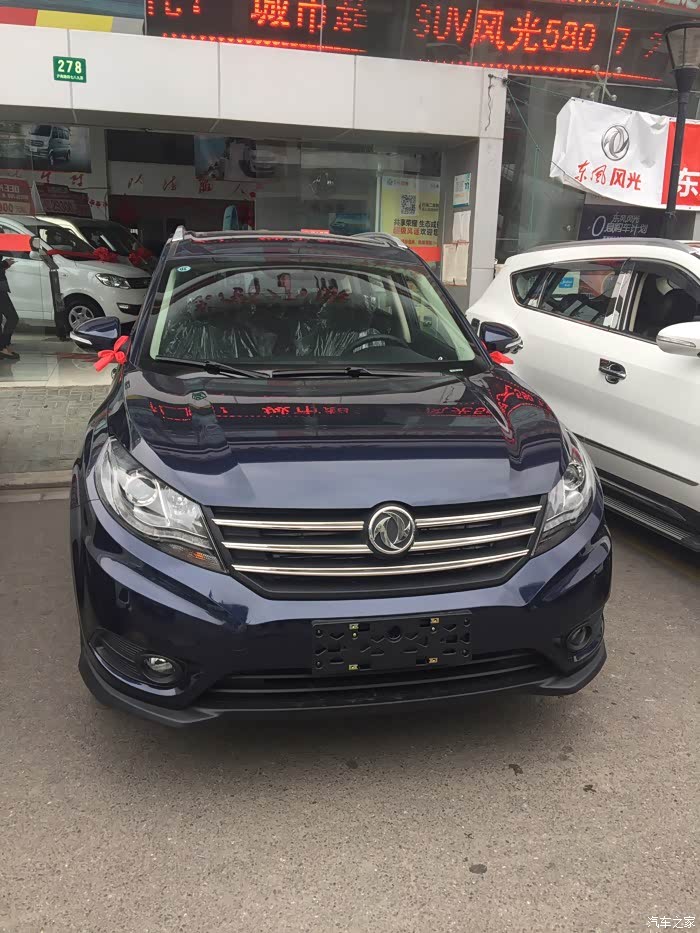 今天去提帝王蓝