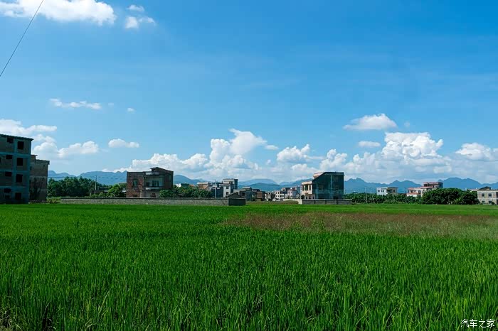 广西乡村游第一站金田
