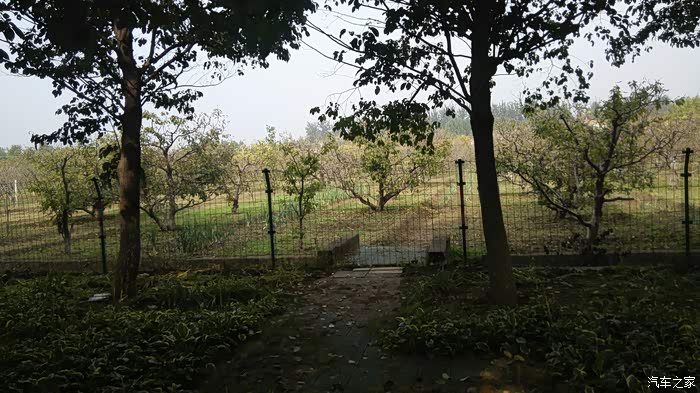 开着我的RX5香山一日游