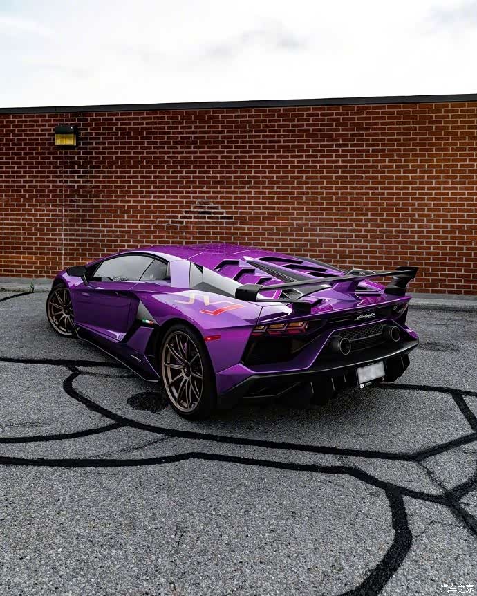 紫魅大牛兰博基尼svj ,霸气十足 .