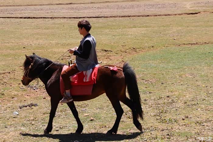 云南大山包游玩记,享受骑马的快乐,欣赏大自然的美好风景.