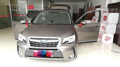 为爱前行,从灰灰到守护星_森林人论坛_手机汽车之家